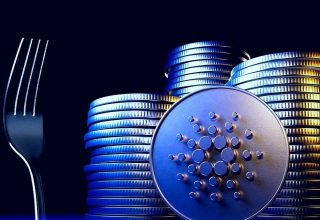 Cardano Vasil Hard Fork Nedir, Ne Zaman Çıkacak?