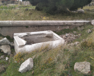 temettü yatırımı nasıl yapılır