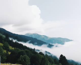 instagram takipçi hilesi