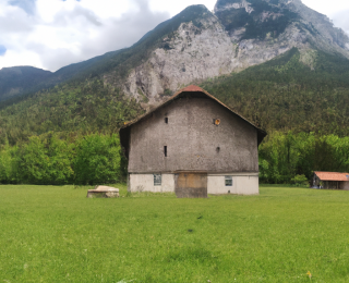 almanya ya iltica başvurusu nasıl yapılır