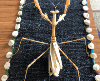 yağ mantısı nasıl yapılır