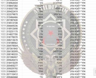 Ayyıldız Tim, İsrail Savunma Bakanlığı’nı hackledi