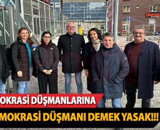 Alman mahkemesinden ırkçı parti lehine karar