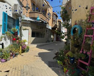 Gazimağusa’nın en güzel balkonu ve bahçesi seçildi