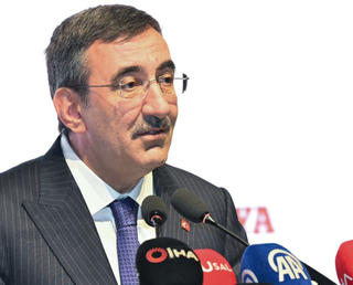 Demiral’a verilen ceza kabul edilemez