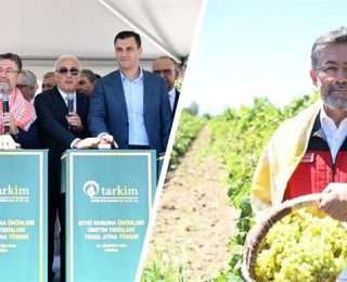 Fındık, kiraz, incir, kayısı, ayva üretimde dünyada 1. sıradayız