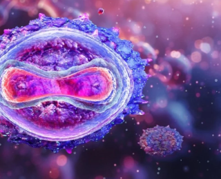 Maymun çiçeği iki ülkede daha görüldü